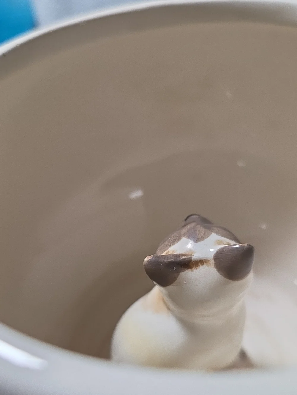 MEOW World Market Mug Cup White Siamese Kitty Peekaboo Cat